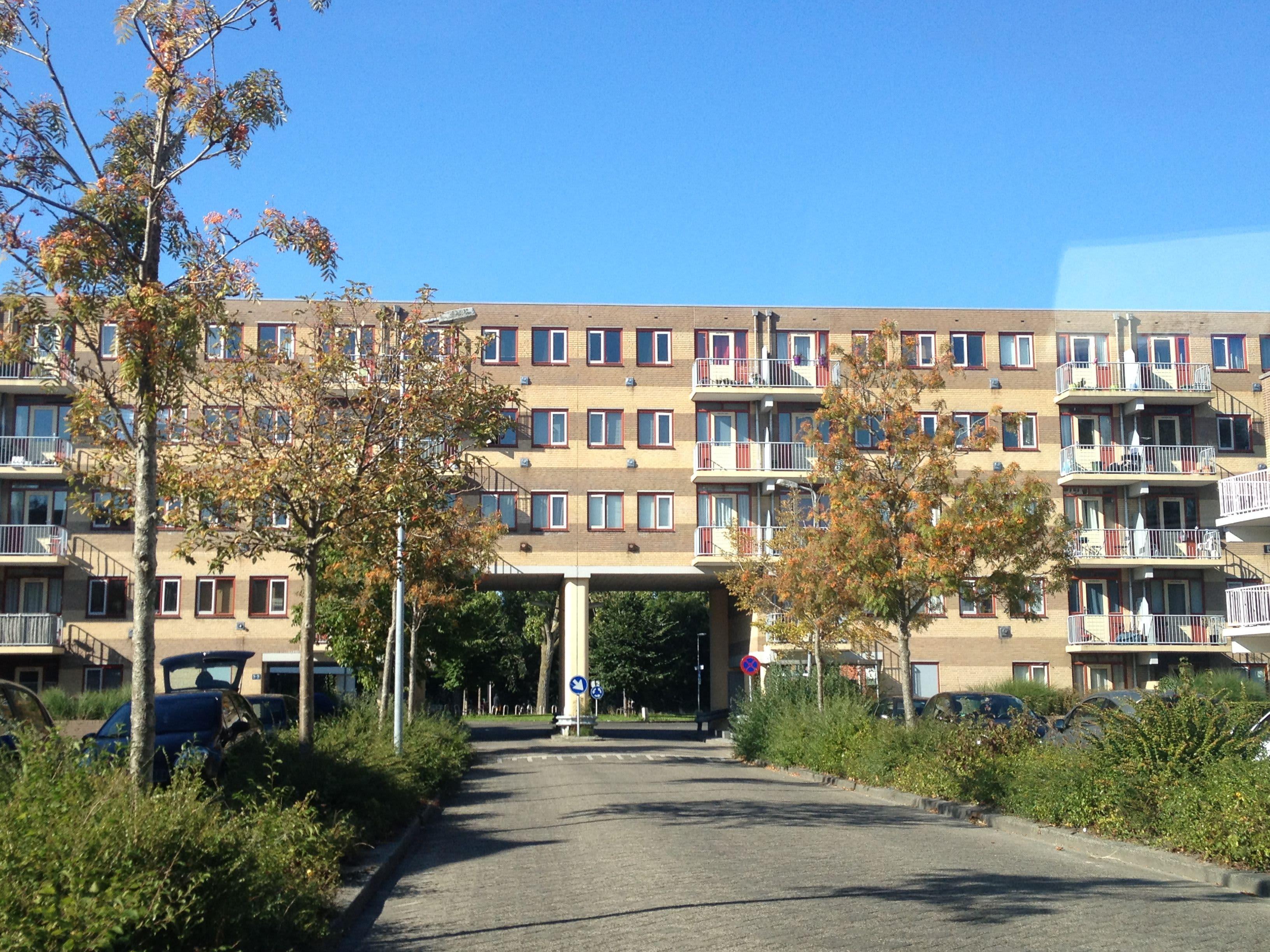 Wibenaheerd 77