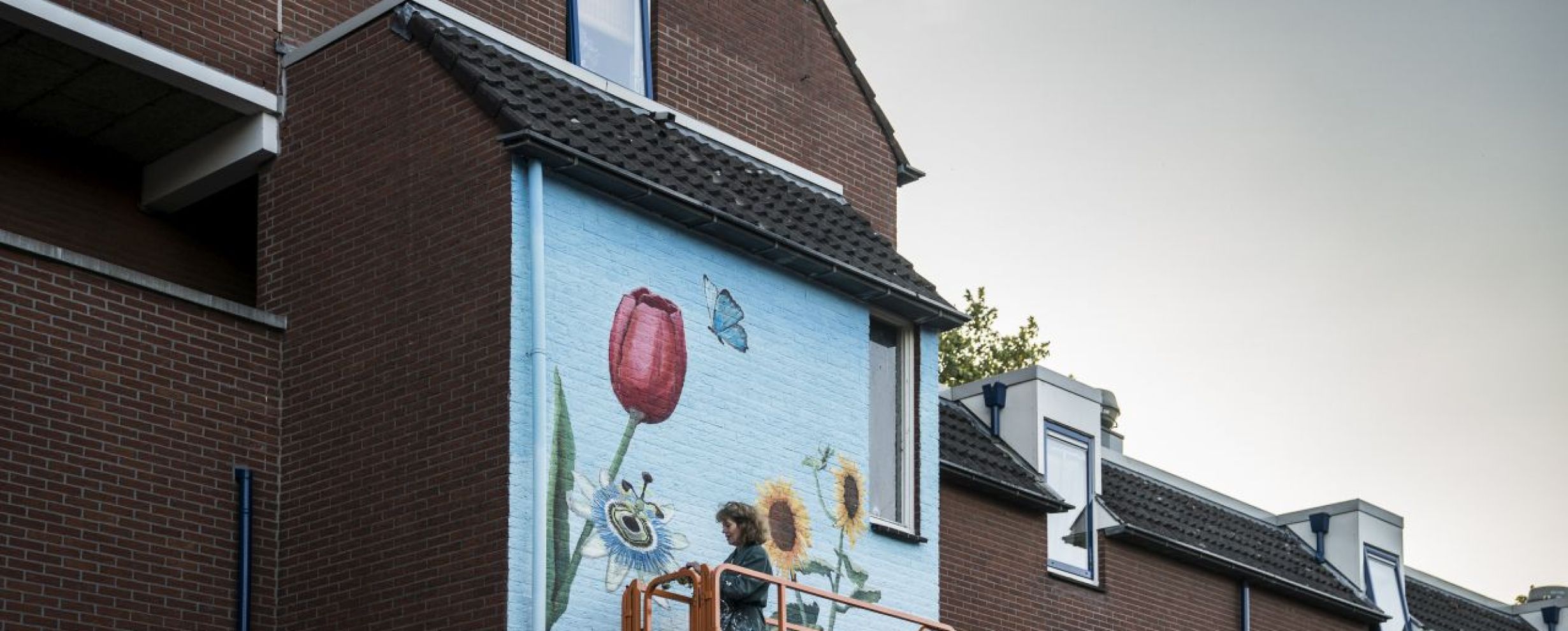 SV 2022 0830 Catharina Nieuwenhout-2865_LR